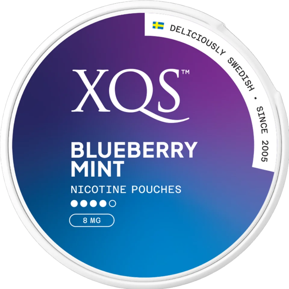 Blueberry Mint 8MG