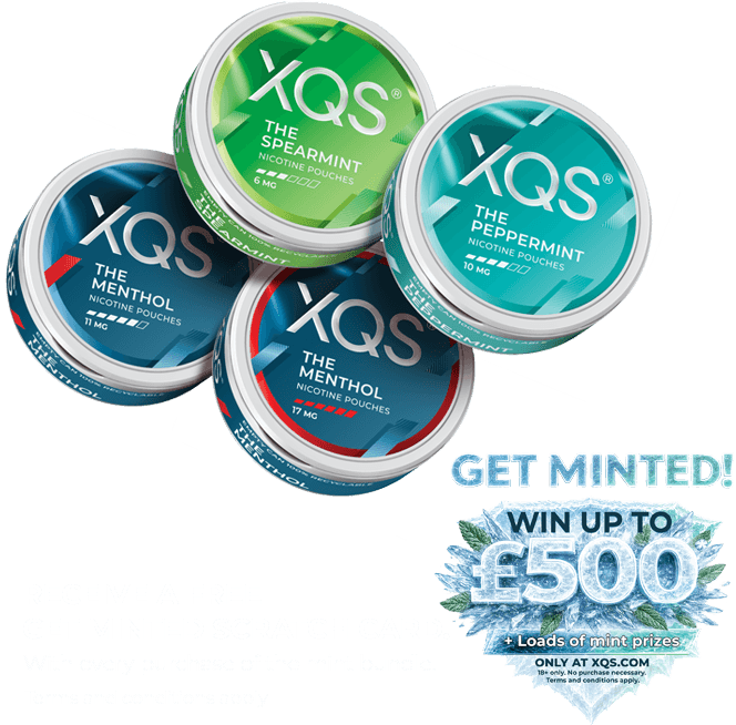 4-Pack Mint bundle