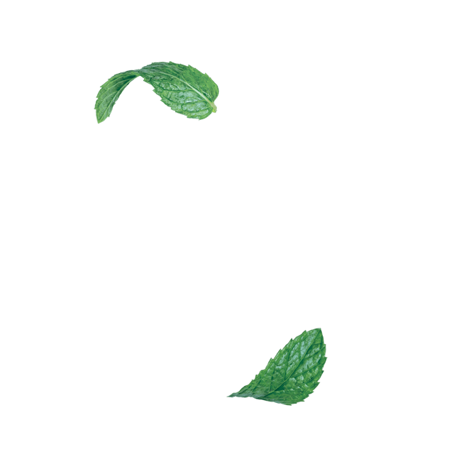 The Peppermint