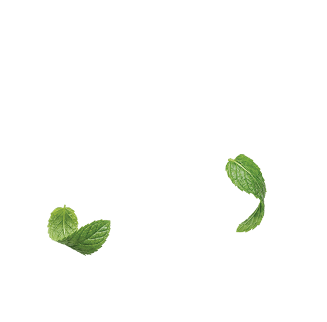 The Spearmint