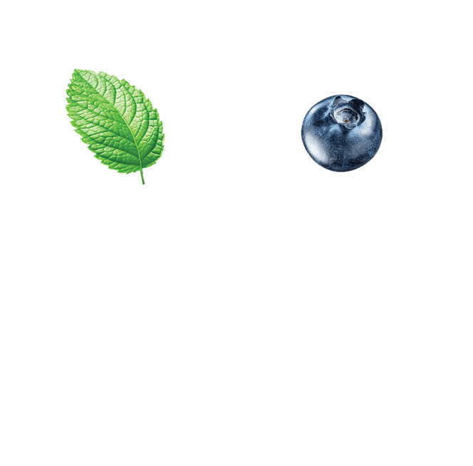 Blueberry Mint