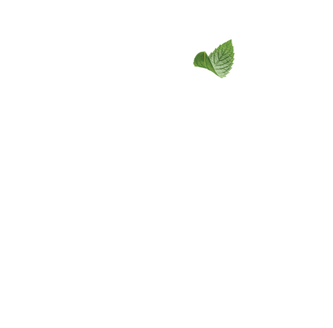 The Spearmint