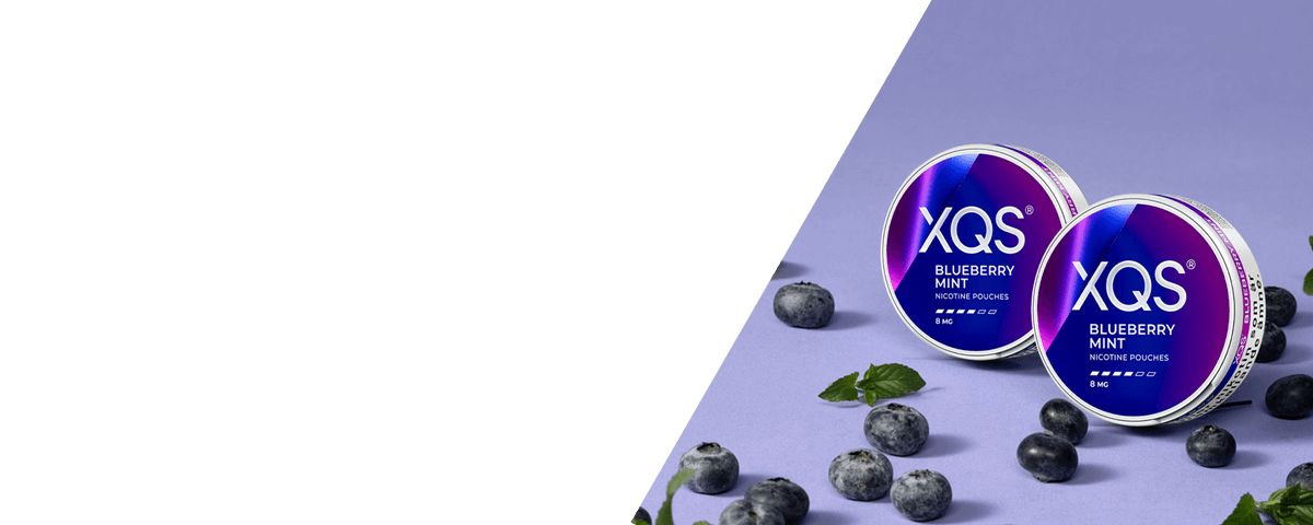 XQS boxes and blueberries