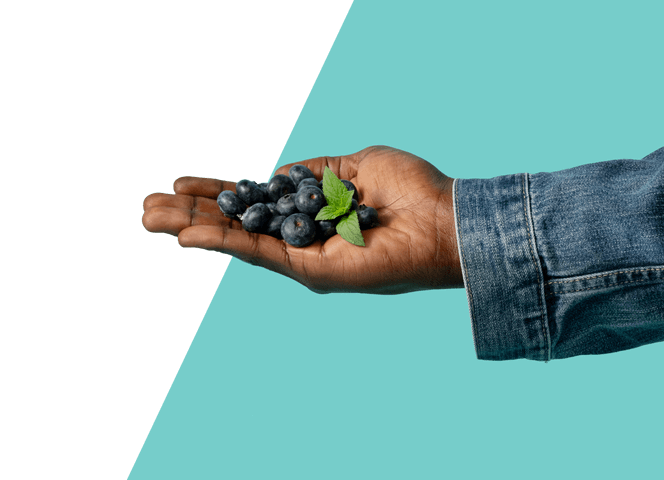 Hand holding blueberries