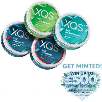 Buy XQS Nicotine Pouches - Tobacco-Free | XQS
