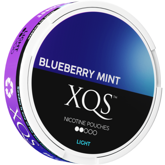 Blueberry Mint 4MG