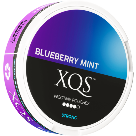 Buy Blueberry Mint Strong - Nicotine pouches - XQS