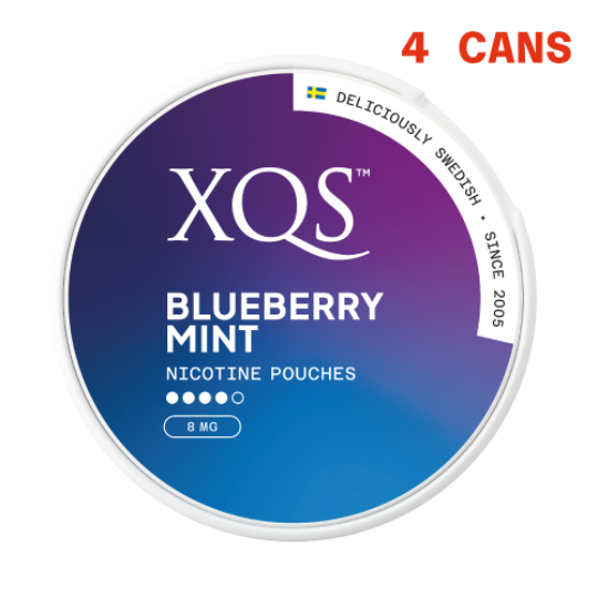 XQS Blueberry Mint 8MG 4 cans